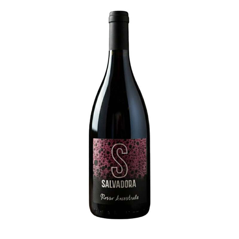 Salvadora rosso ancestrale